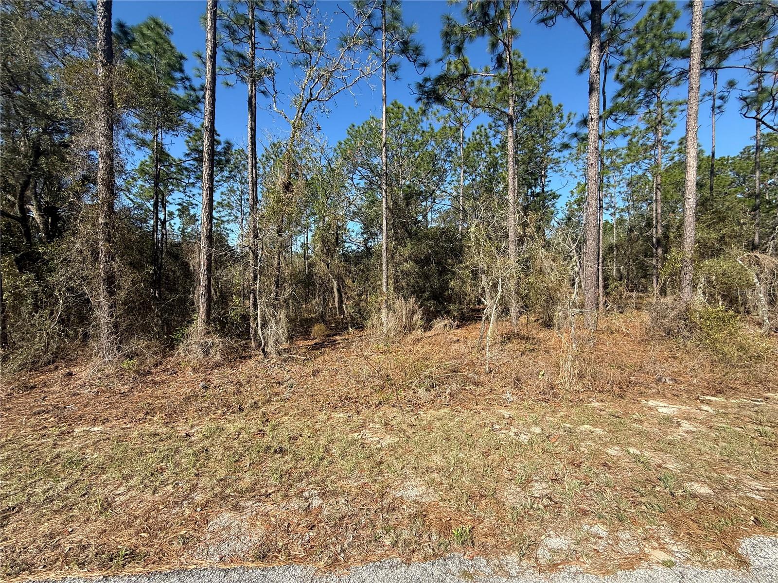 Lot 13 SE 129 CT Property Photo 1