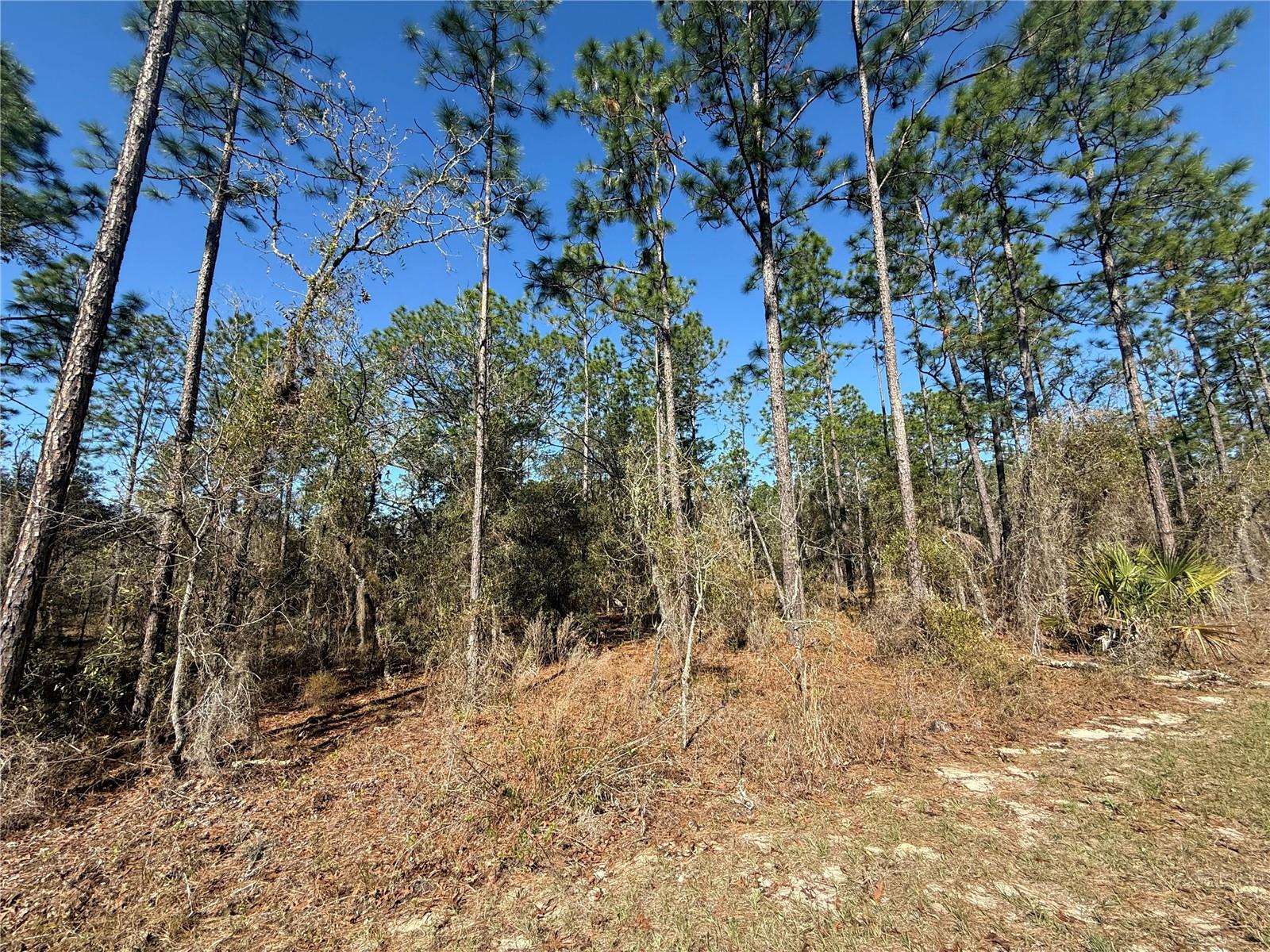 Lot 13 Se 129 Ct Property Photo 2