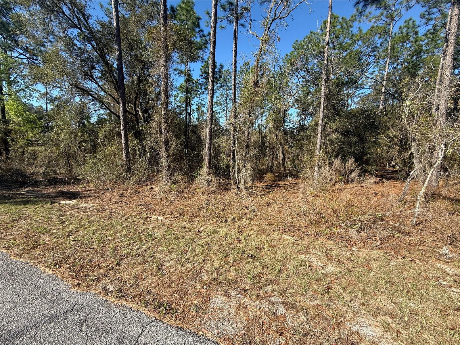 Lot 13 Se 129 Ct Property Photo 3