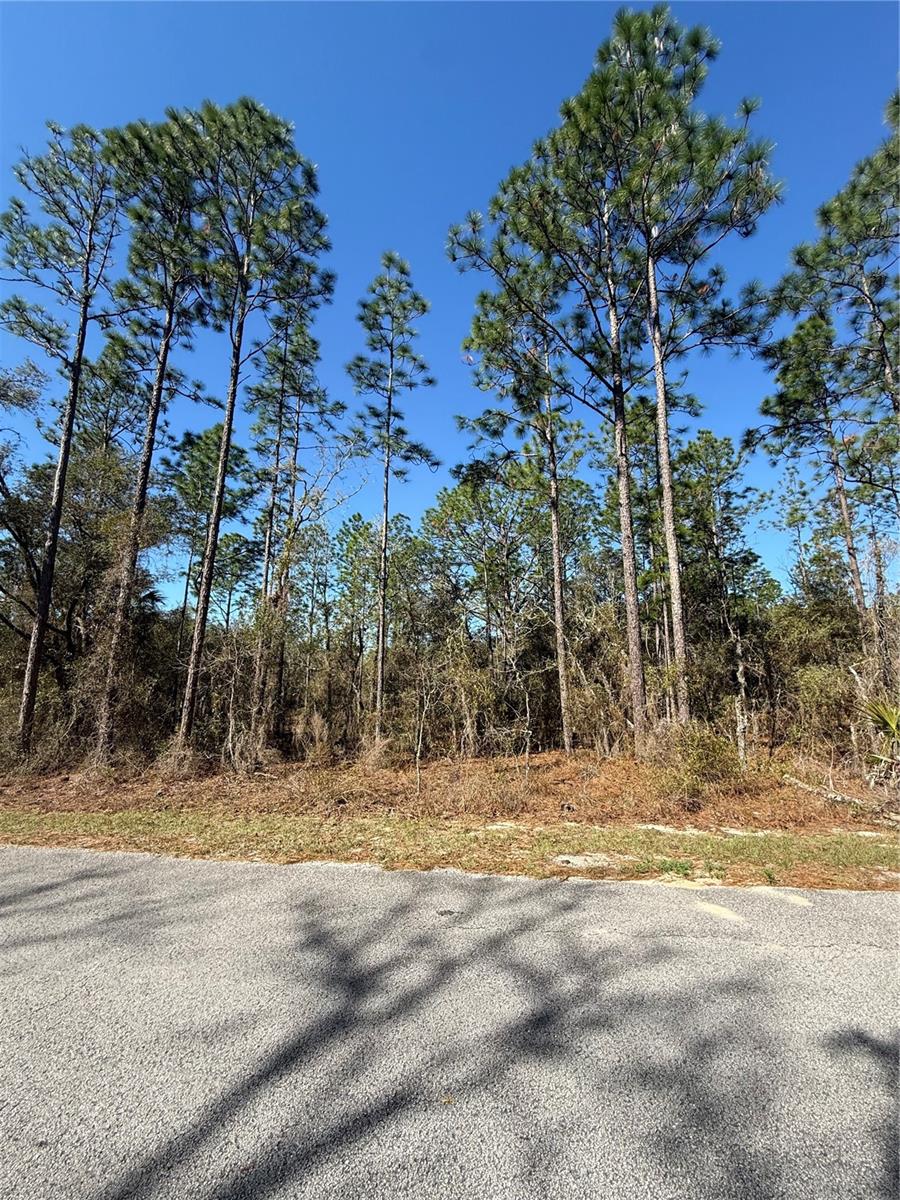 Lot 13 Se 129 Ct Property Photo 4