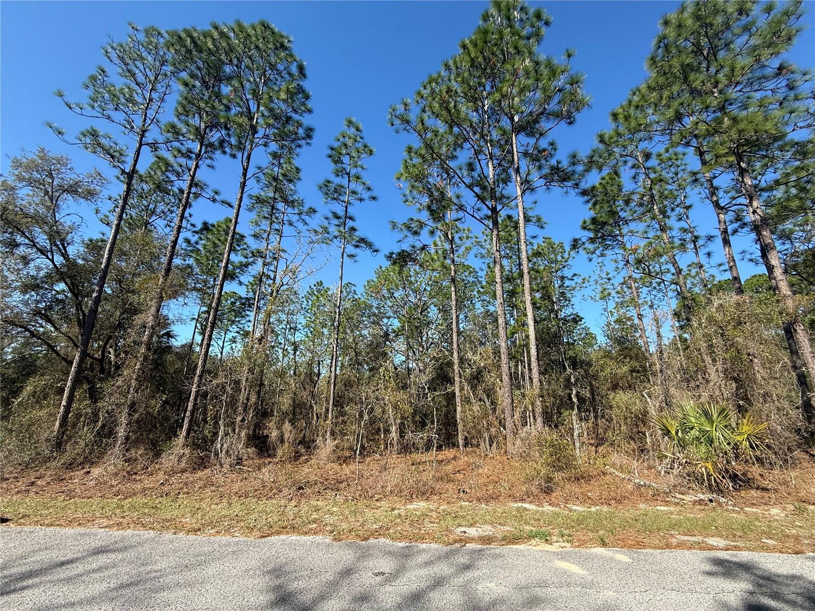 Lot 13 Se 129 Ct Property Photo 5