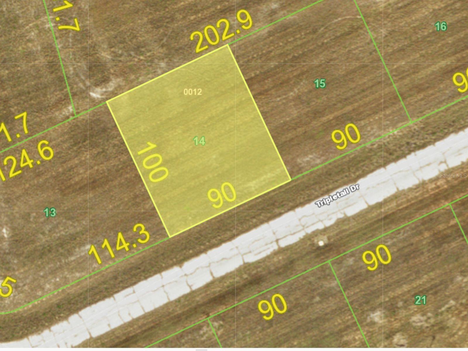 12394 TRIPLETAIL DR Property Photo 1