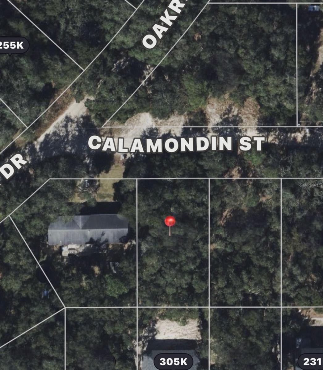 CALAMONDIN ST Property Photo 1