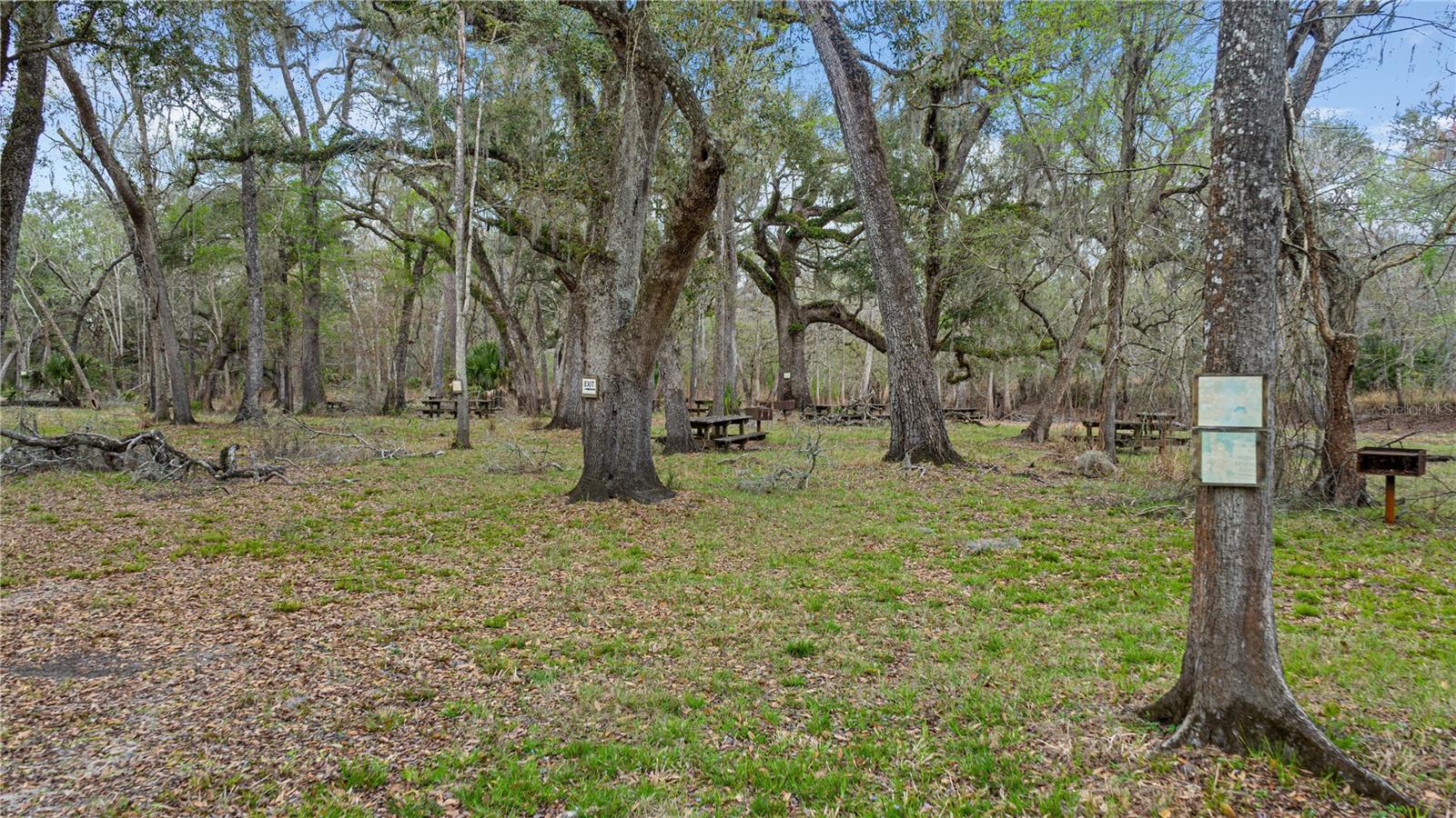 2878 Ne 340 Hwy Property Photo 5