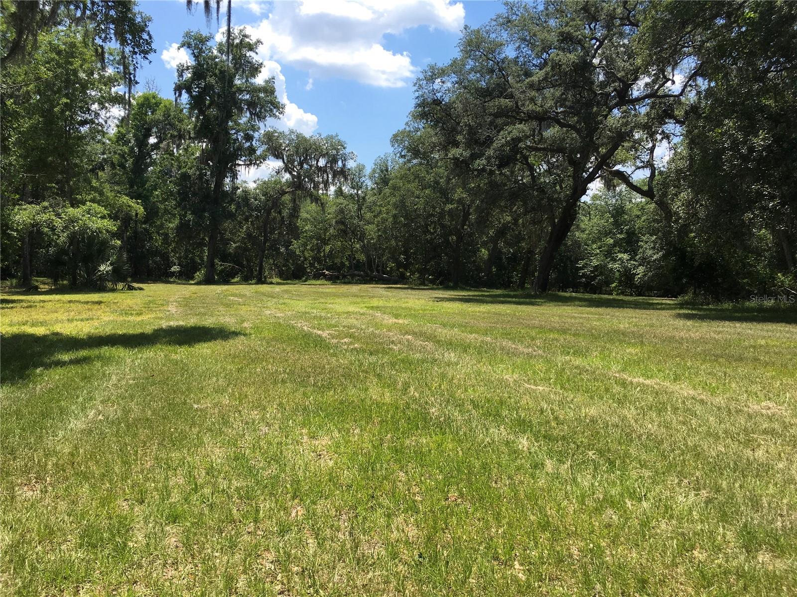 2878 Ne 340 Hwy Property Photo 7