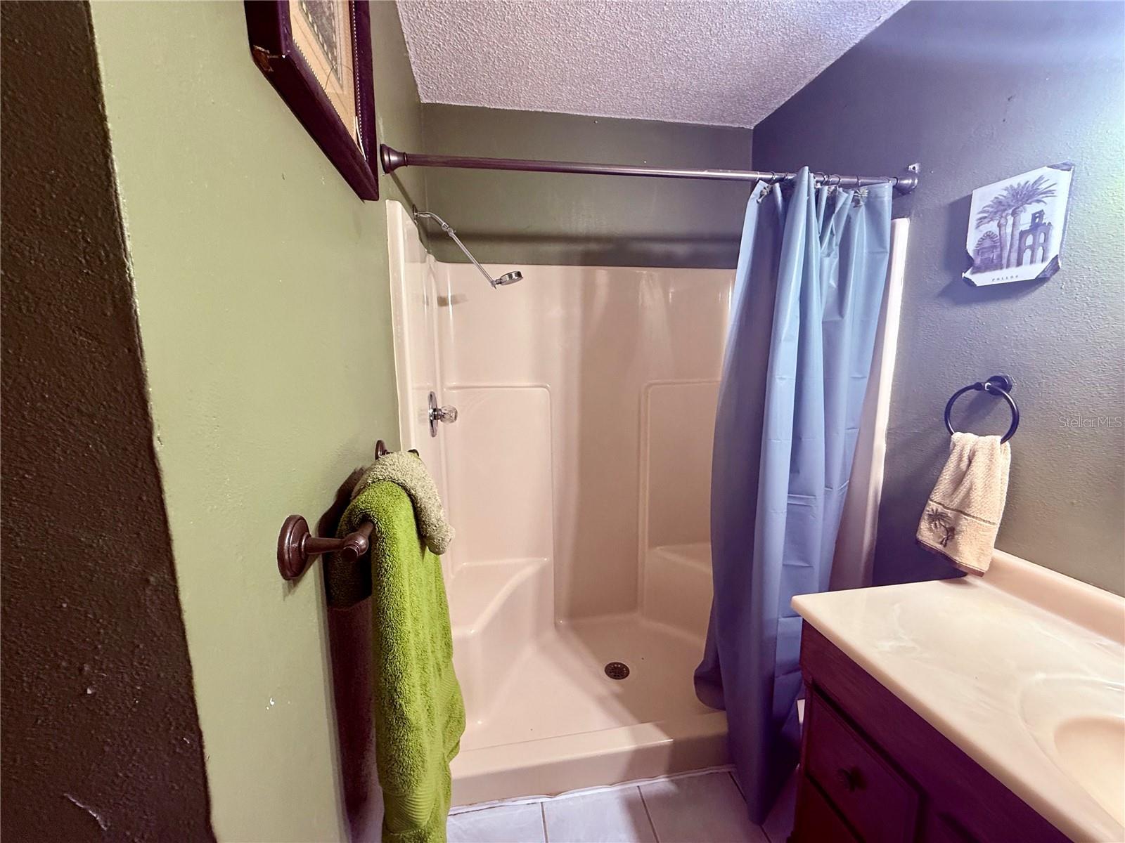 3338 Fernleaf Dr Property Photo 30