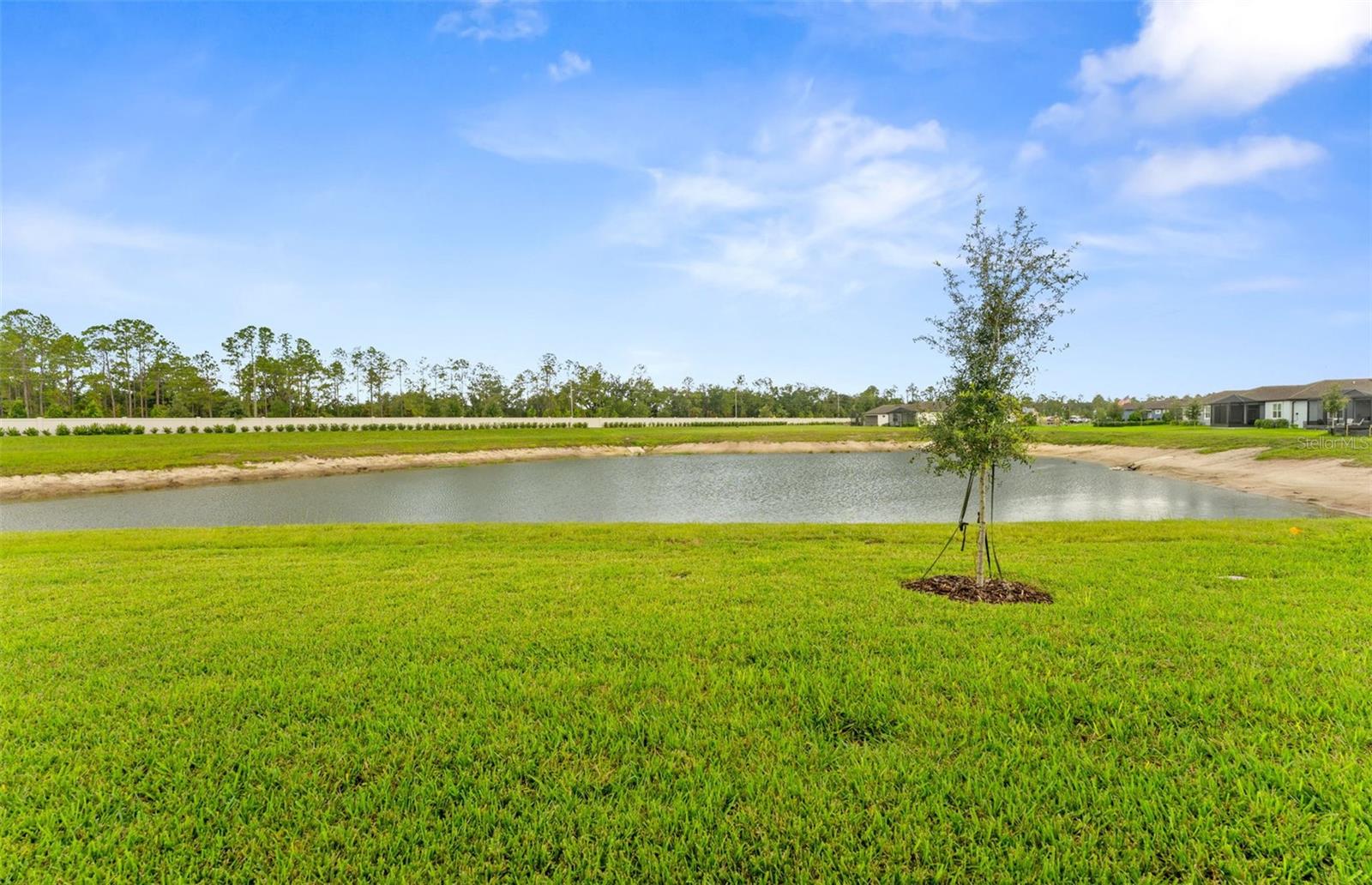 16739 Harvest Leaf Rd Property Photo 19