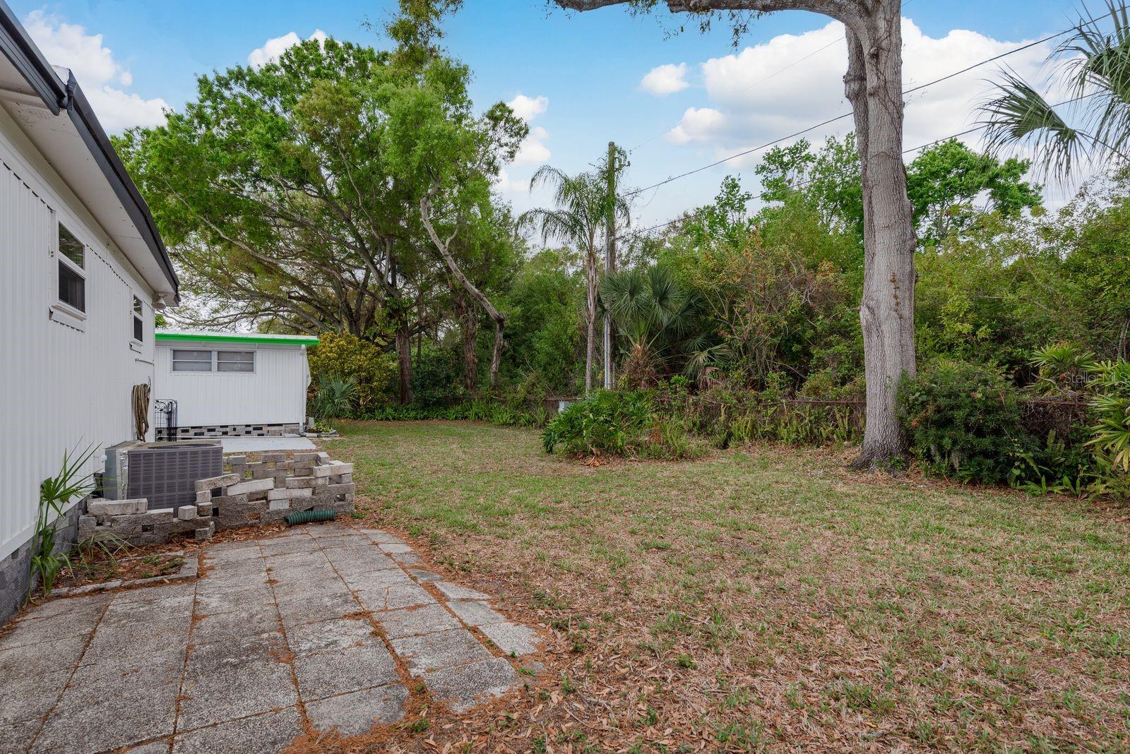 2331 Belleair Rd #514 Property Photo 26