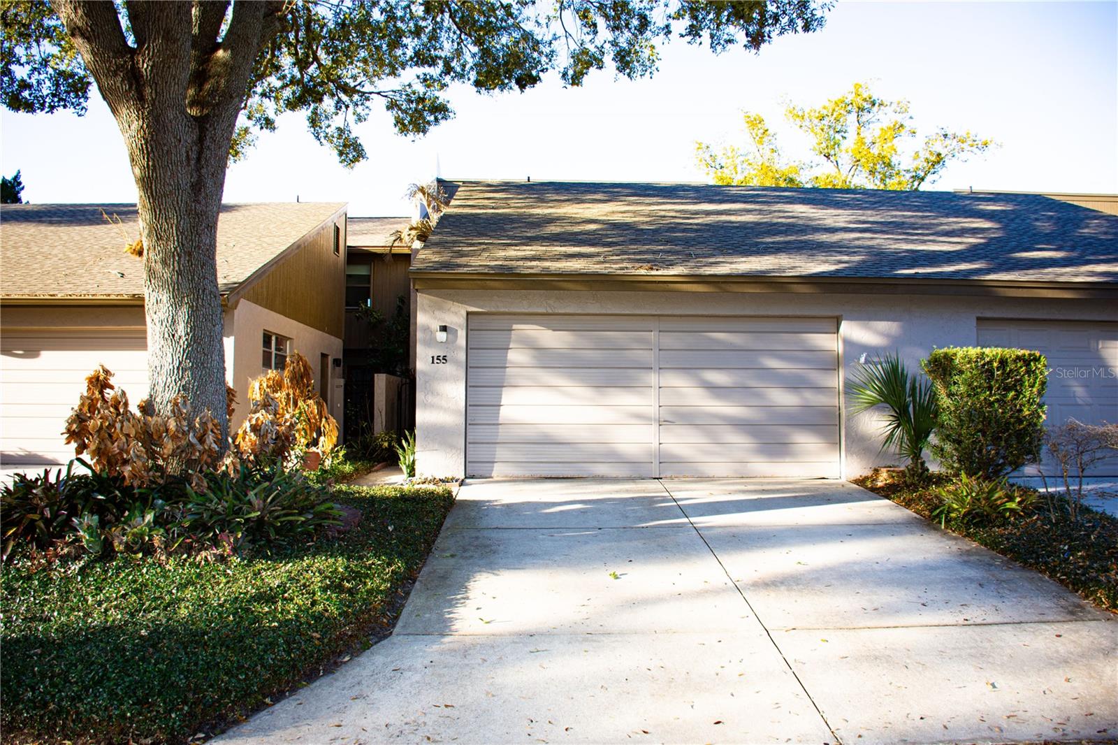 155 Fallwood St Property Photo 1