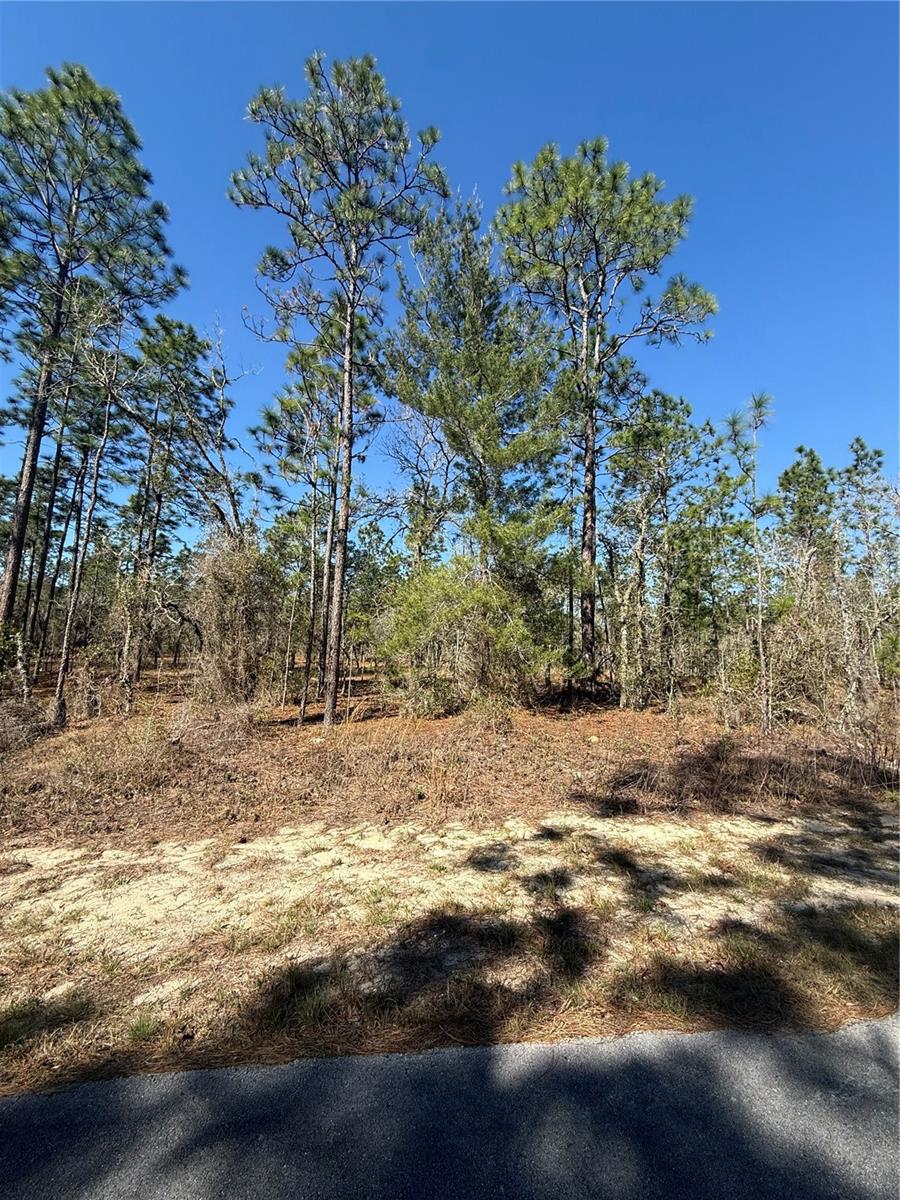Lot 5 Se 130 Ct Property Photo 2