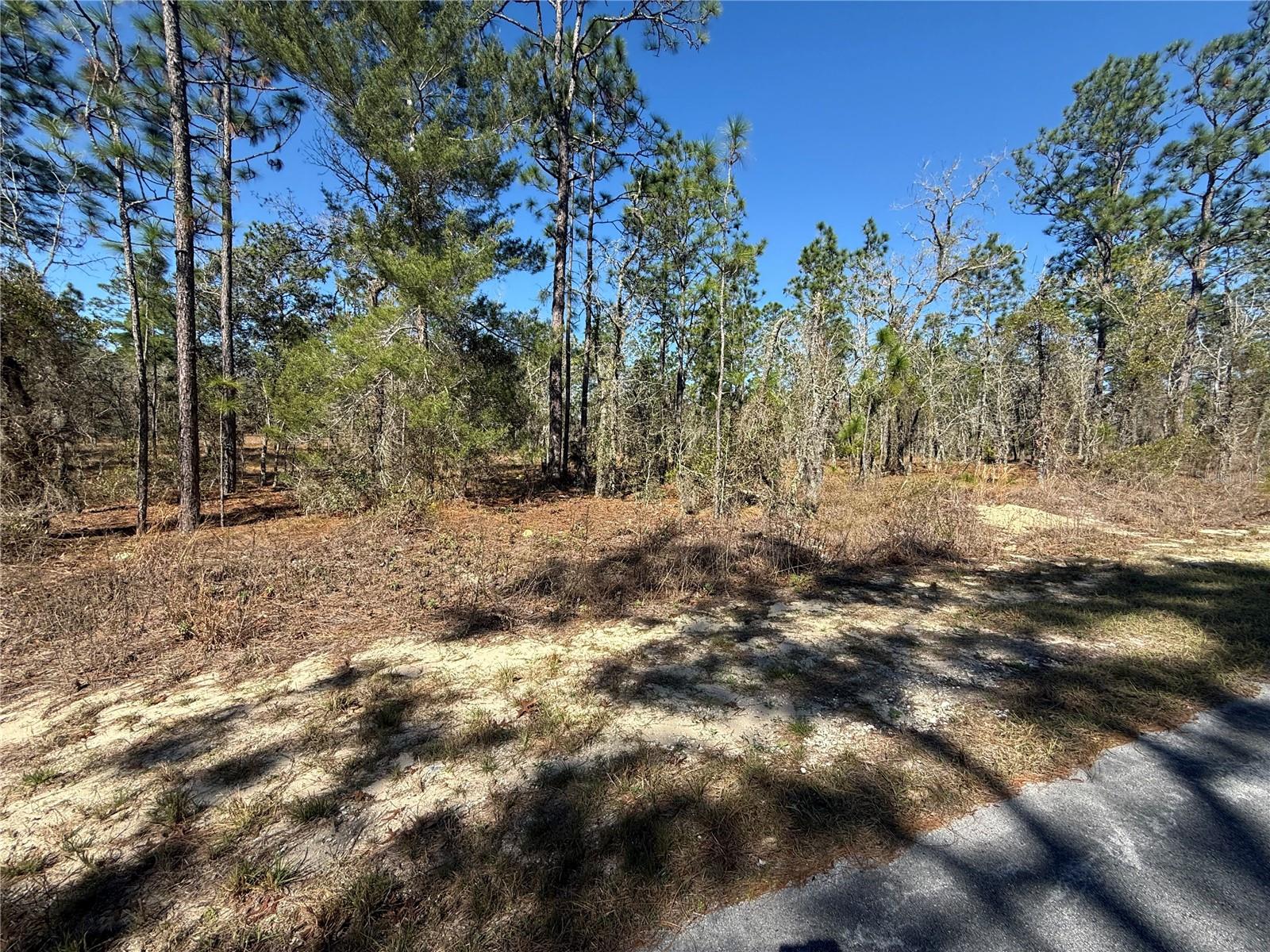 Lot 5 Se 130 Ct Property Photo 3