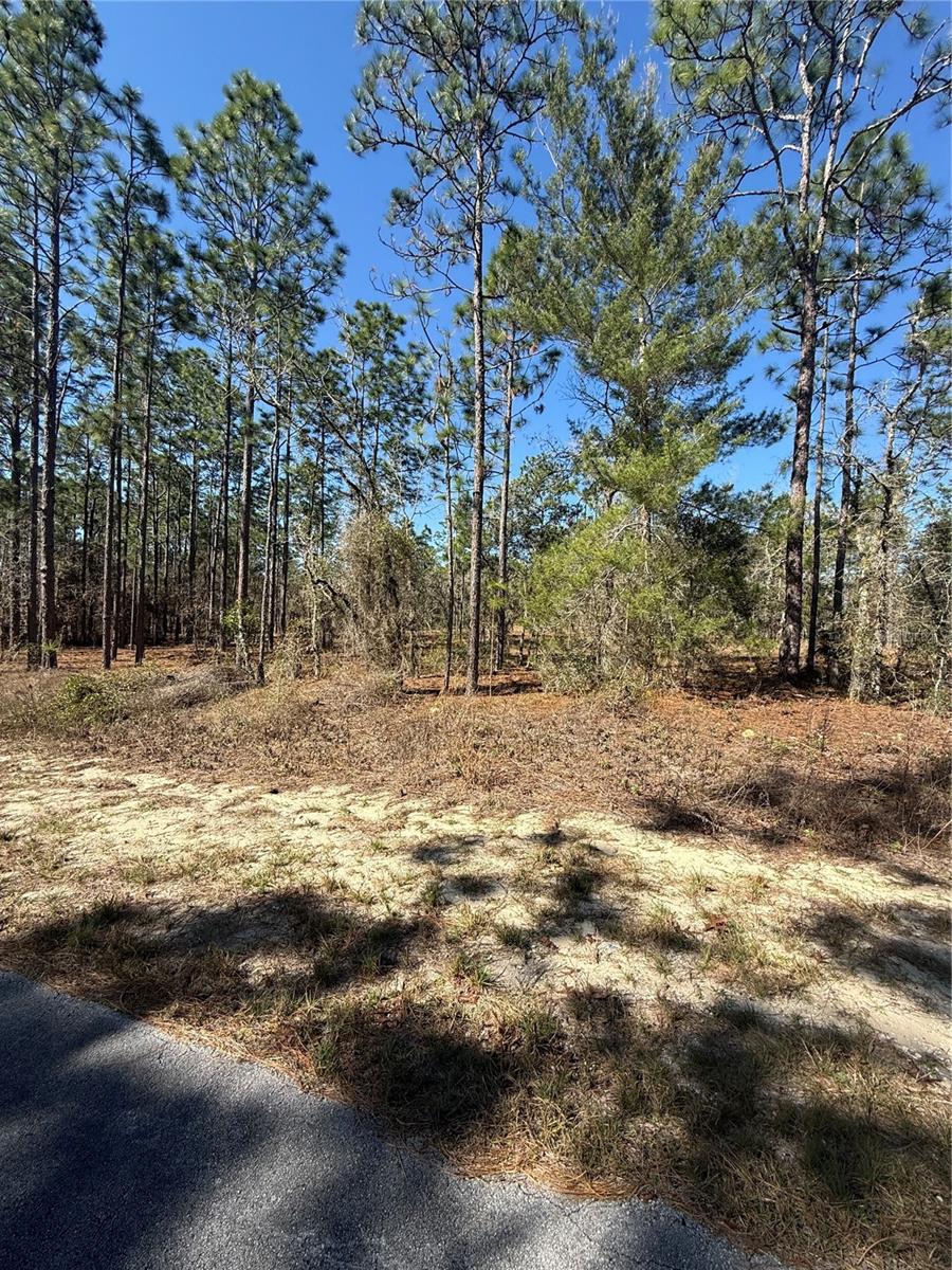 Lot 5 Se 130 Ct Property Photo 4