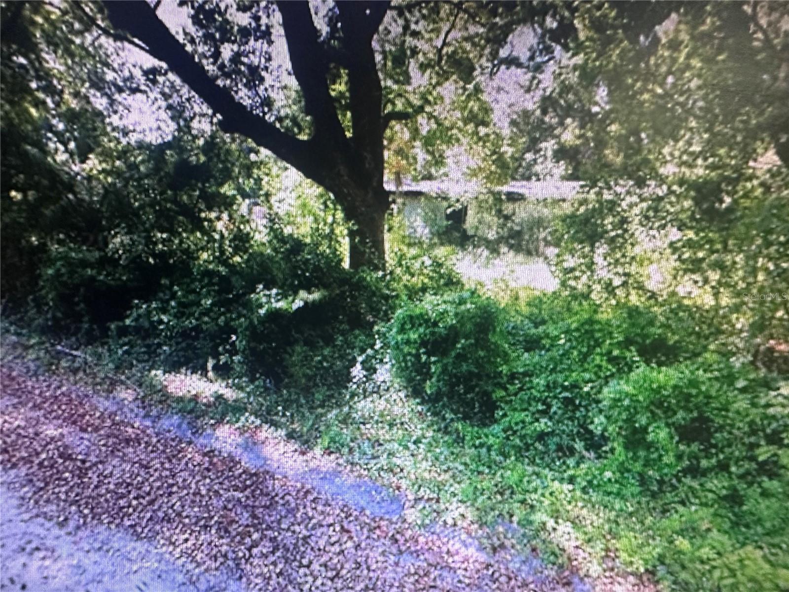 4289 Se 20th St Property Photo 2