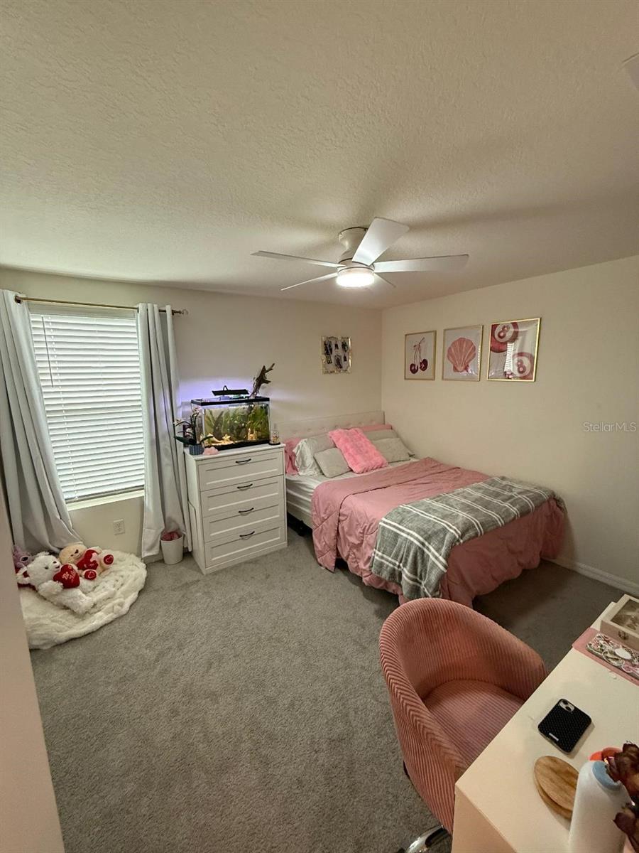 10662 Chippewa Dr Property Photo 24
