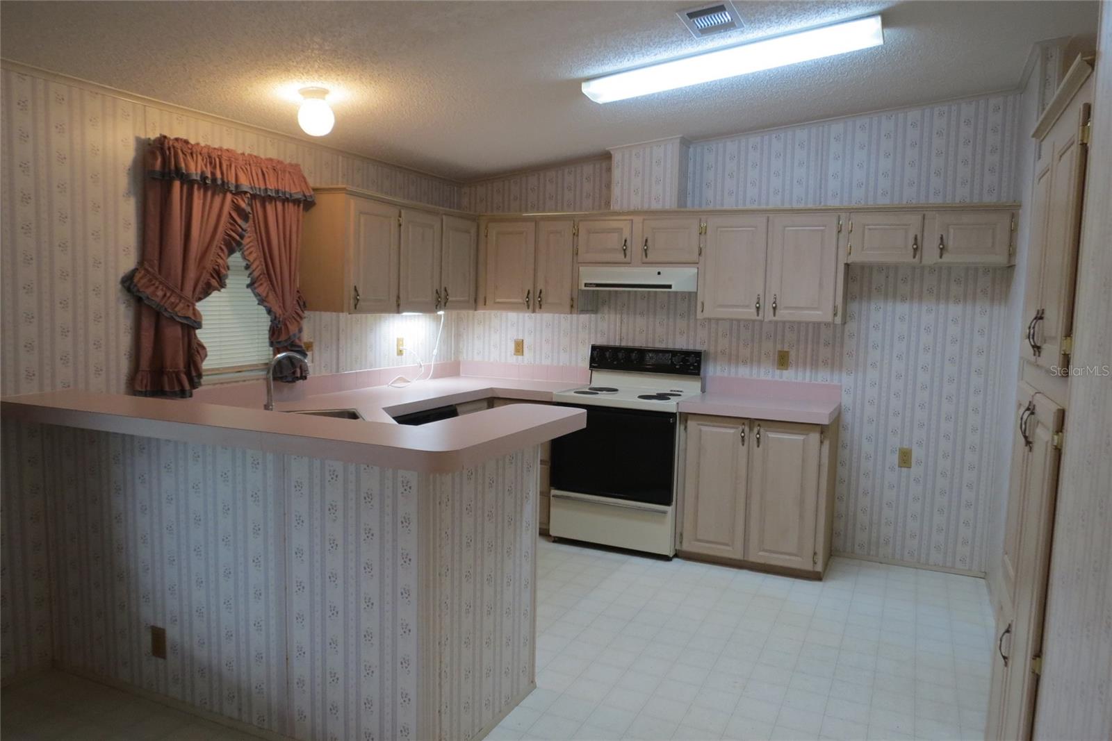 36603 Jodi Ave Property Photo 7