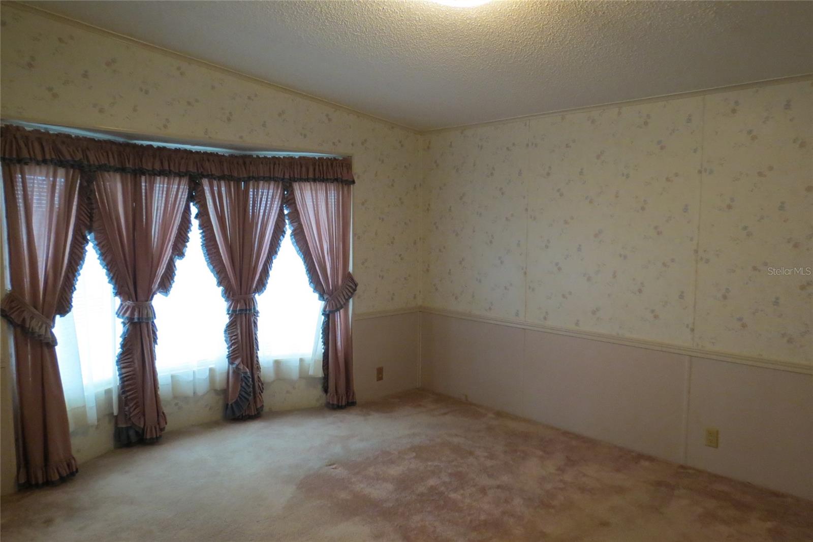 36603 Jodi Ave Property Photo 16