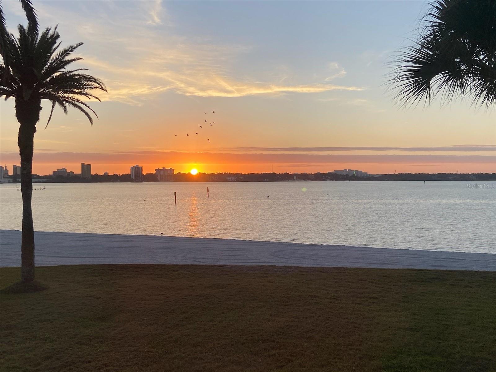 865 S Gulfview Blvd #207 Property Photo 47