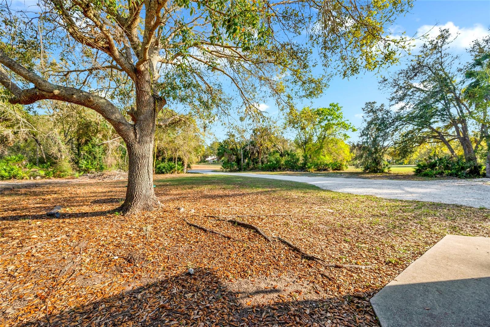 1811 Butch Cassidy Trl Property Photo 8