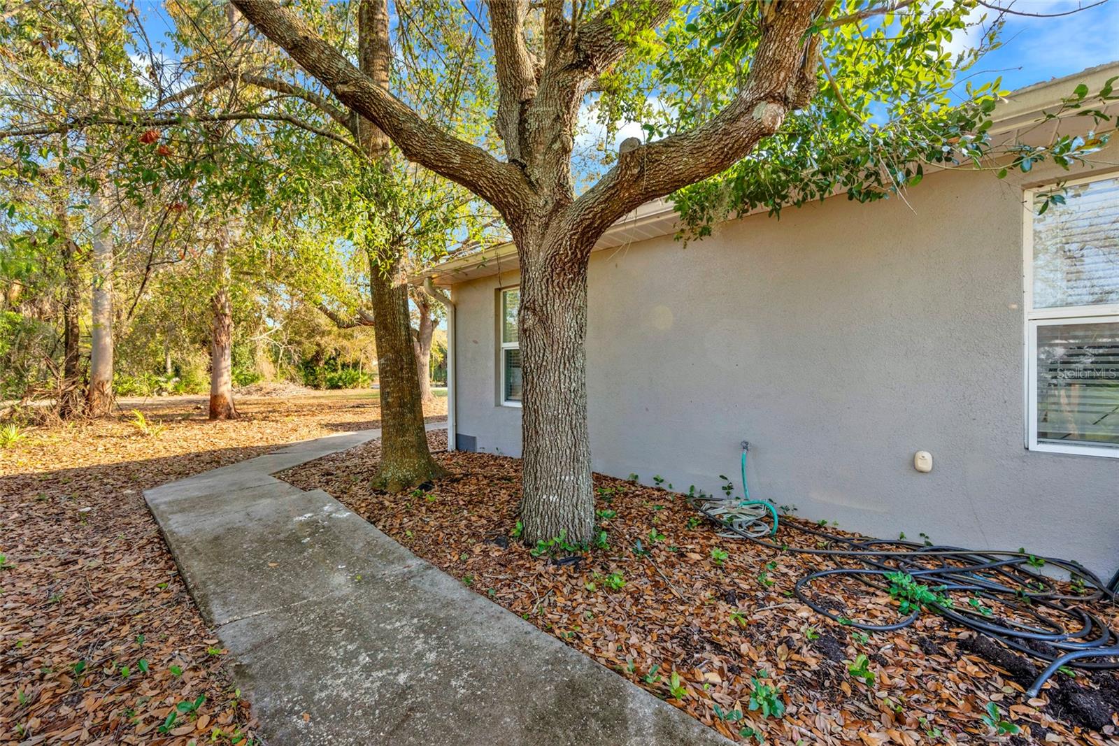 1811 Butch Cassidy Trl Property Photo 10