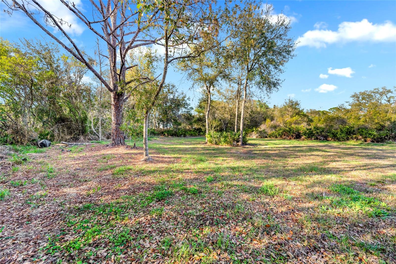 1811 Butch Cassidy Trl Property Photo 44