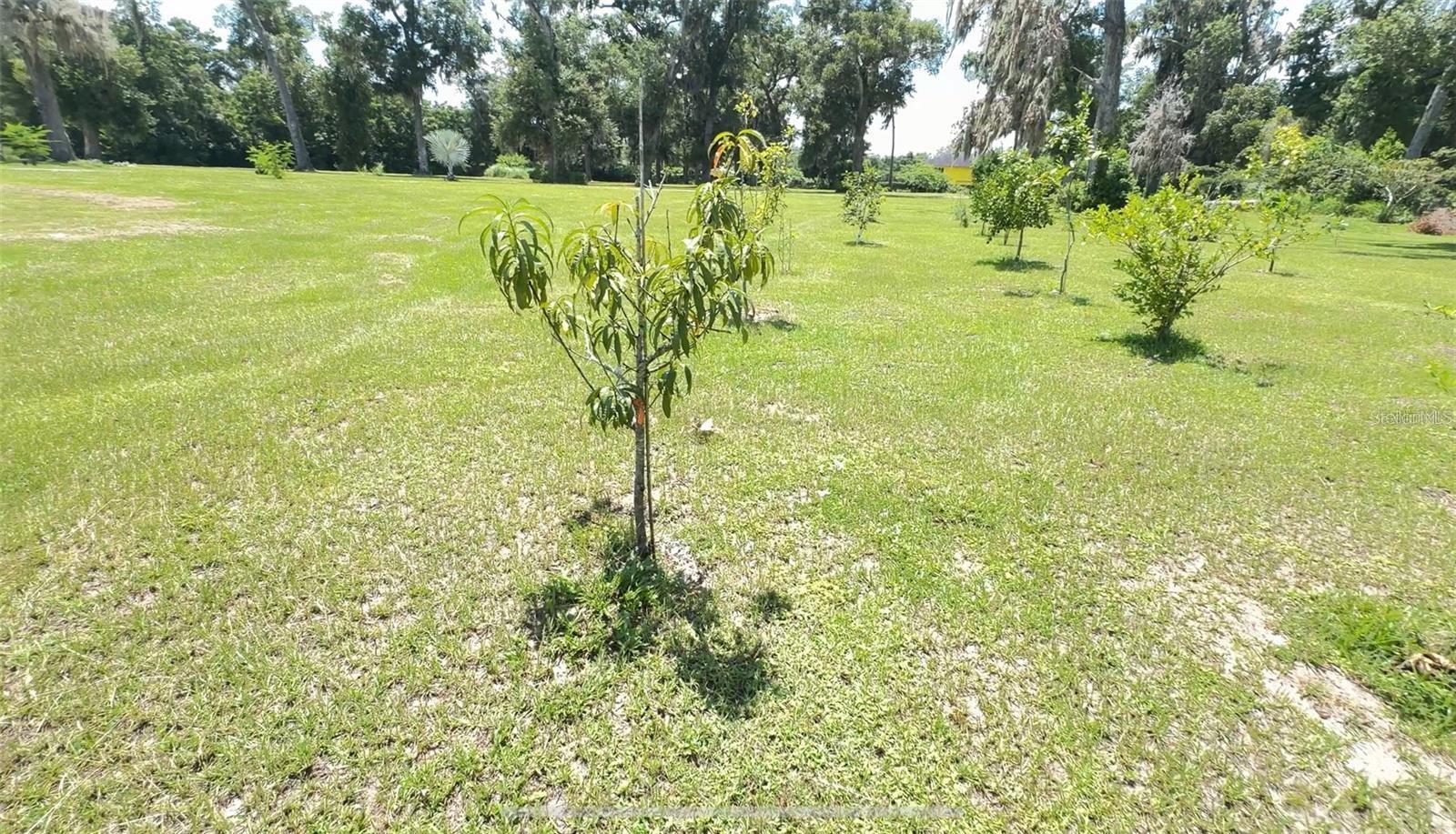 4925 N Us Highway 441 Property Photo 9