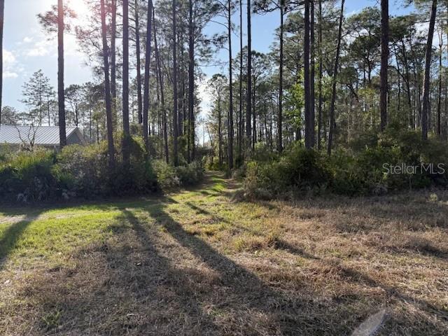 Tbd Us 19 Property Photo 5