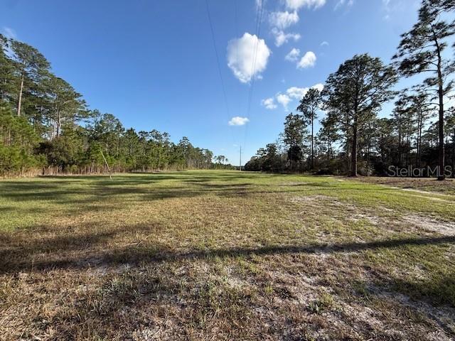 Tbd Us 19 Property Photo 8
