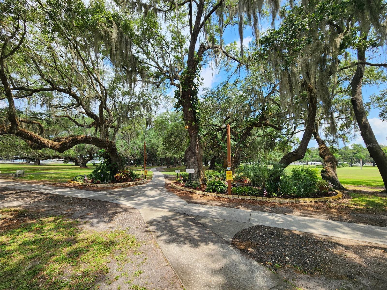 37408 Marta Ave Property Photo 50