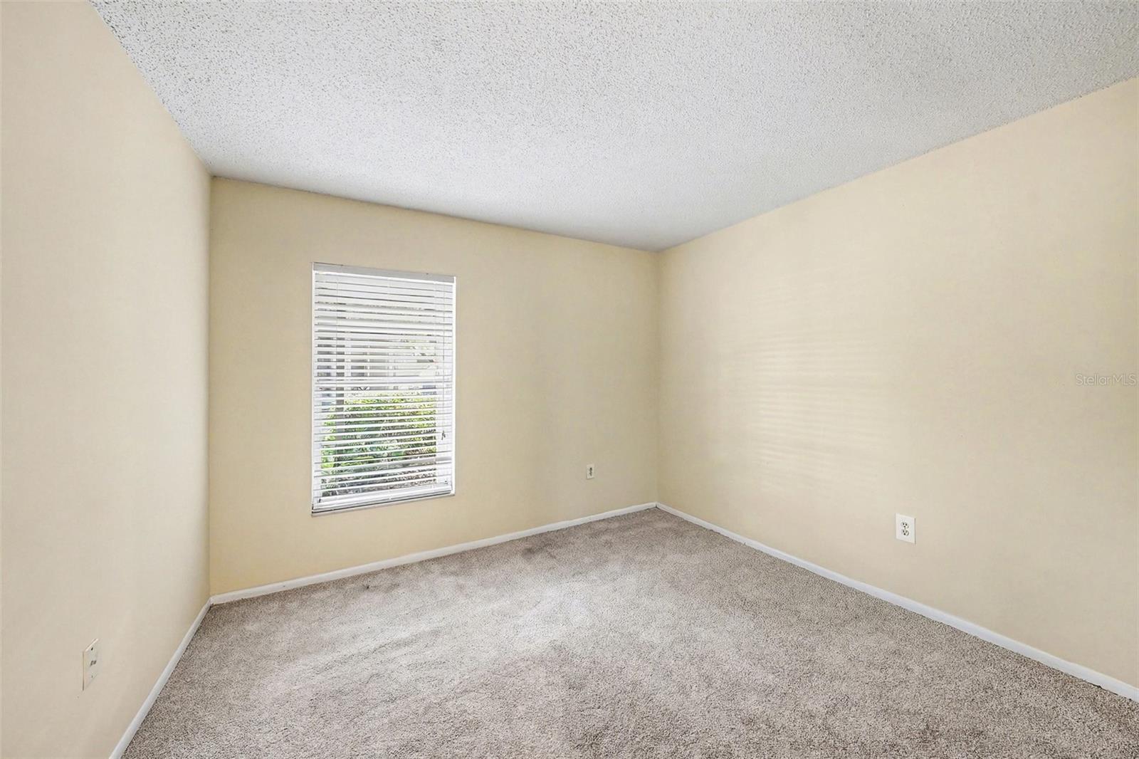 14319 Hanging Moss Cir #101 Property Photo 16