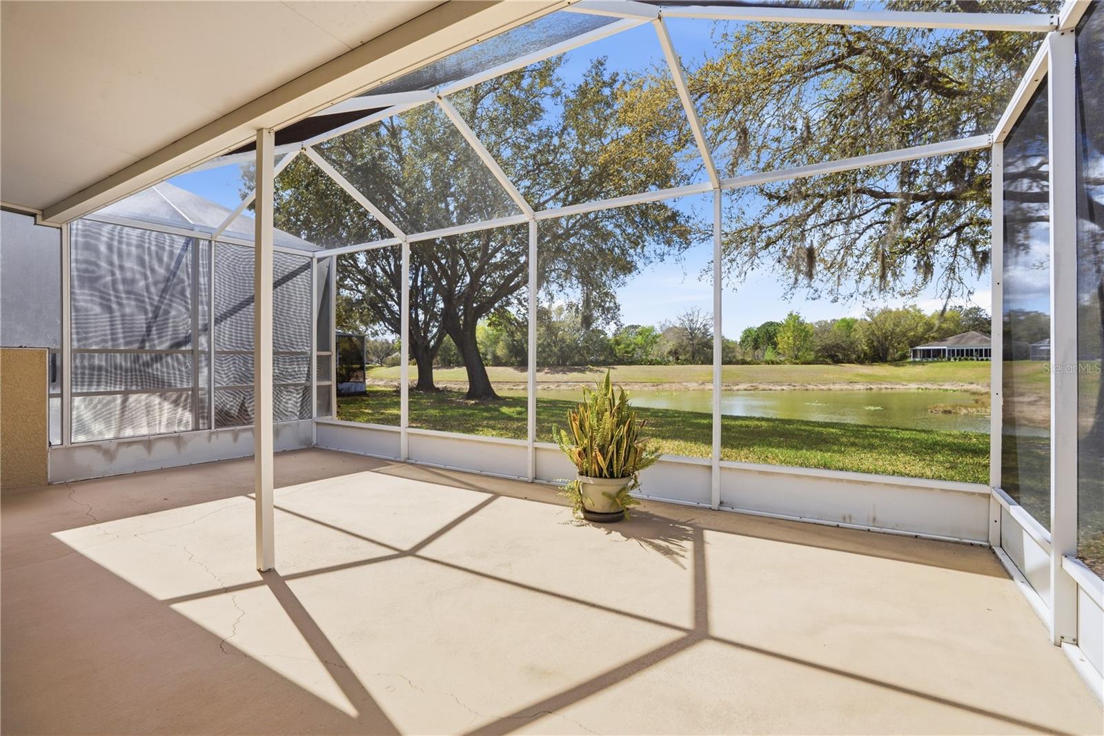 19112 White Wing Pl Property Photo 7