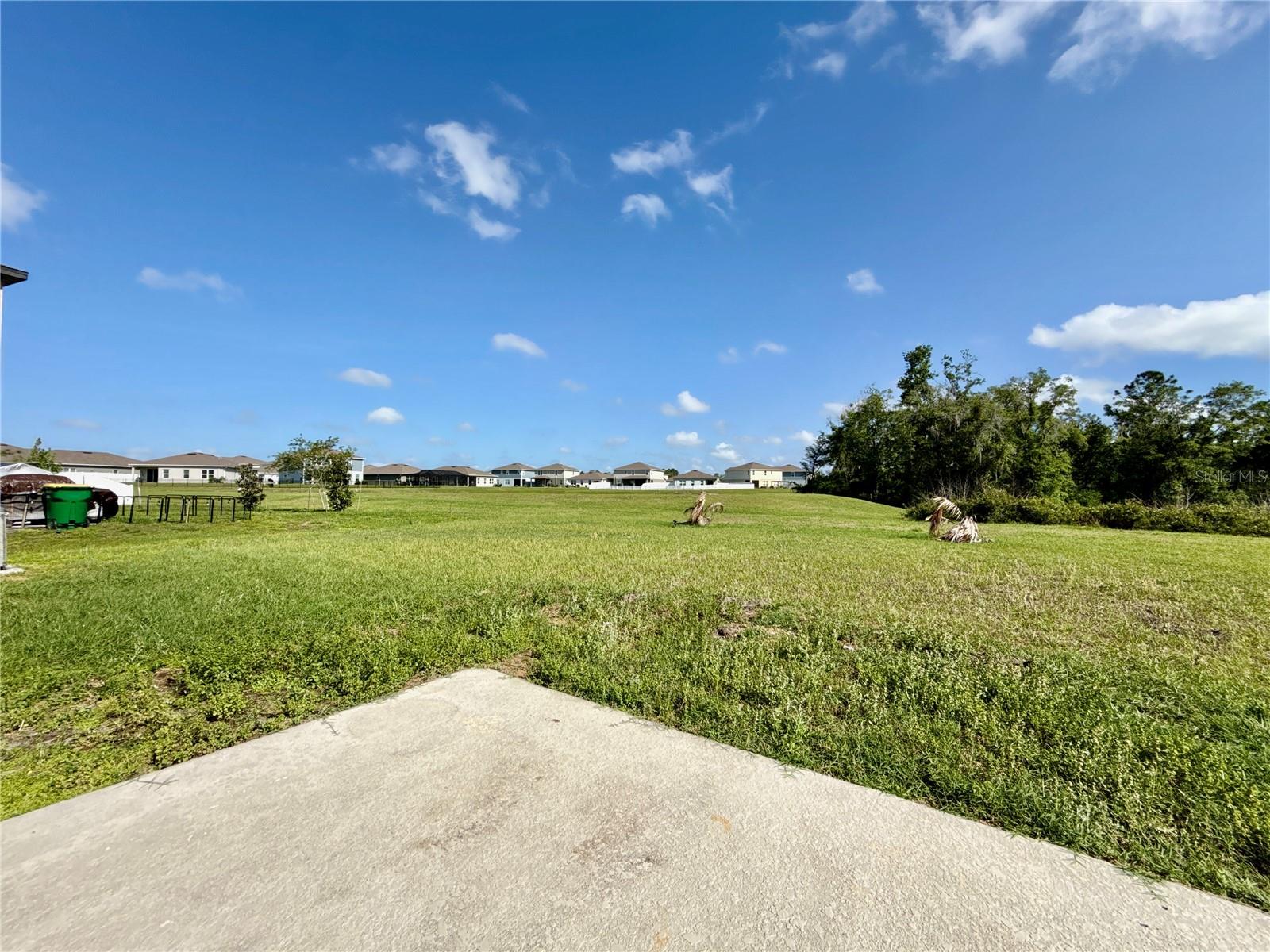 35657 Buttonweed Trl Property Photo 5