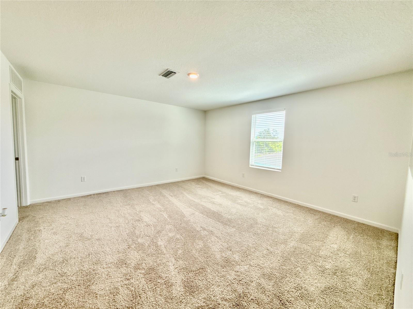 35657 Buttonweed Trl Property Photo 10