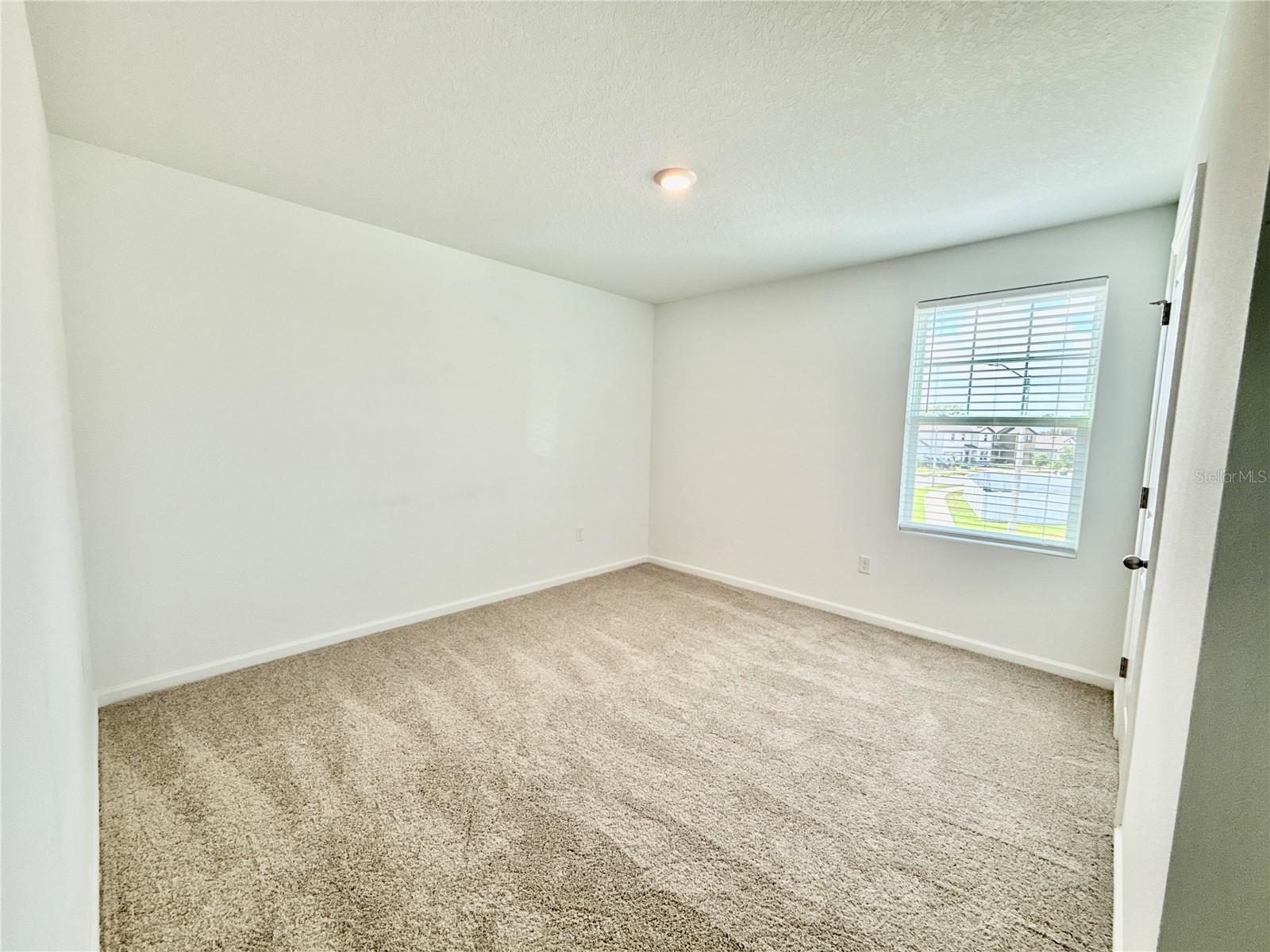 35657 Buttonweed Trl Property Photo 11
