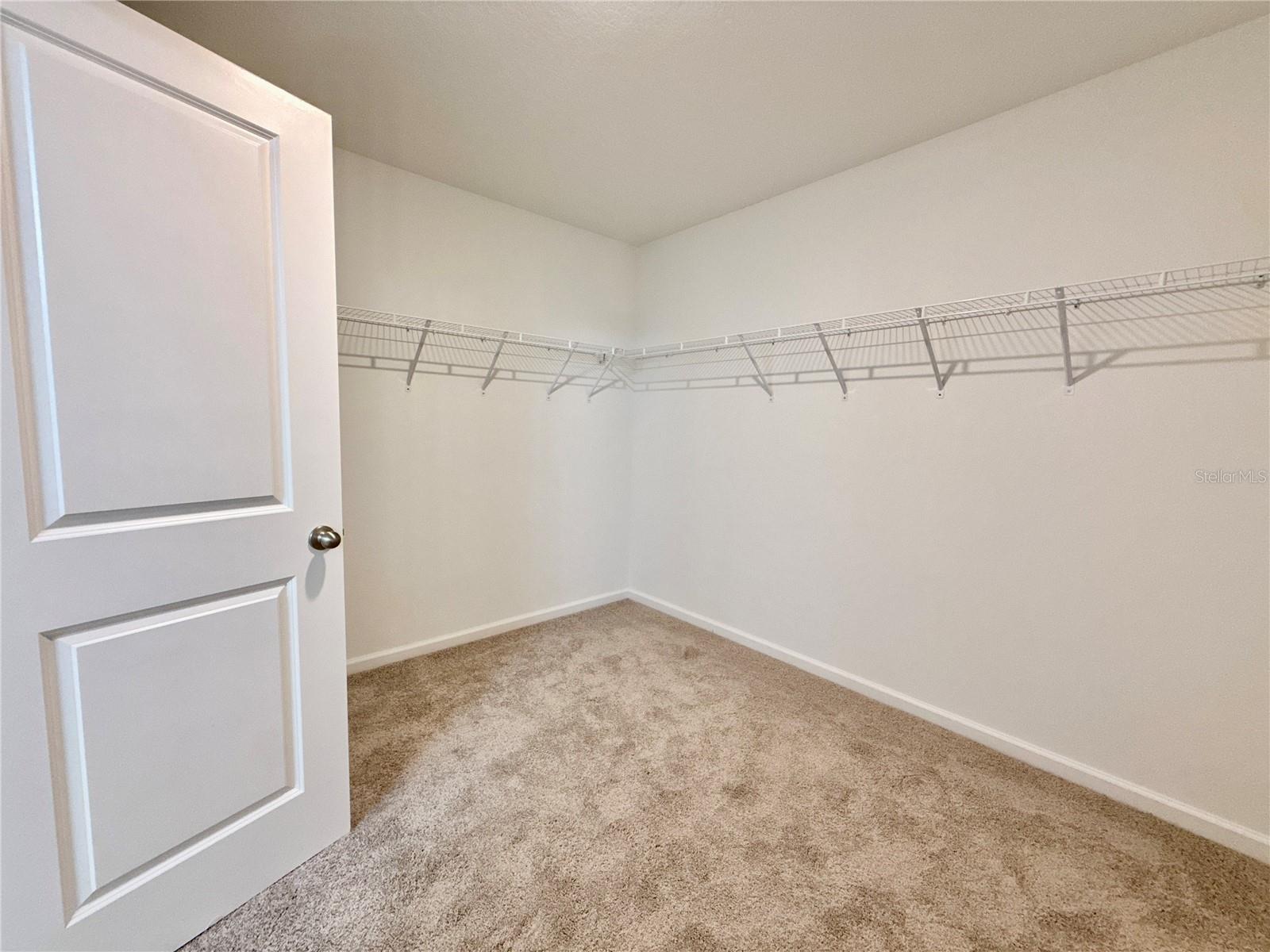35657 Buttonweed Trl Property Photo 17