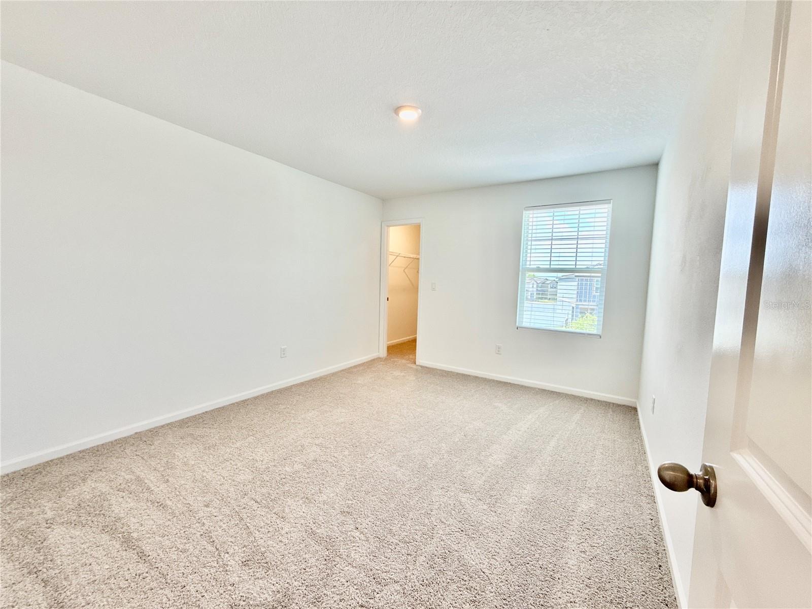 35657 Buttonweed Trl Property Photo 26