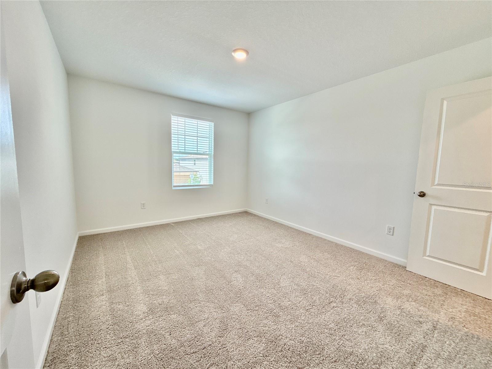 35657 Buttonweed Trl Property Photo 27