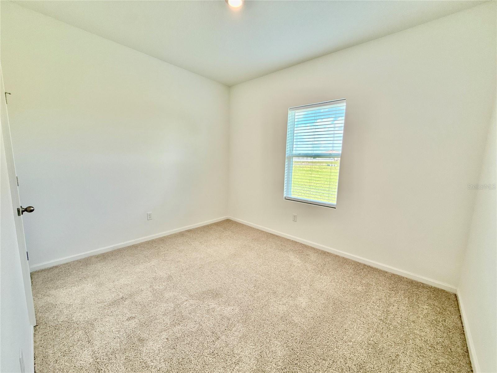 35657 Buttonweed Trl Property Photo 37
