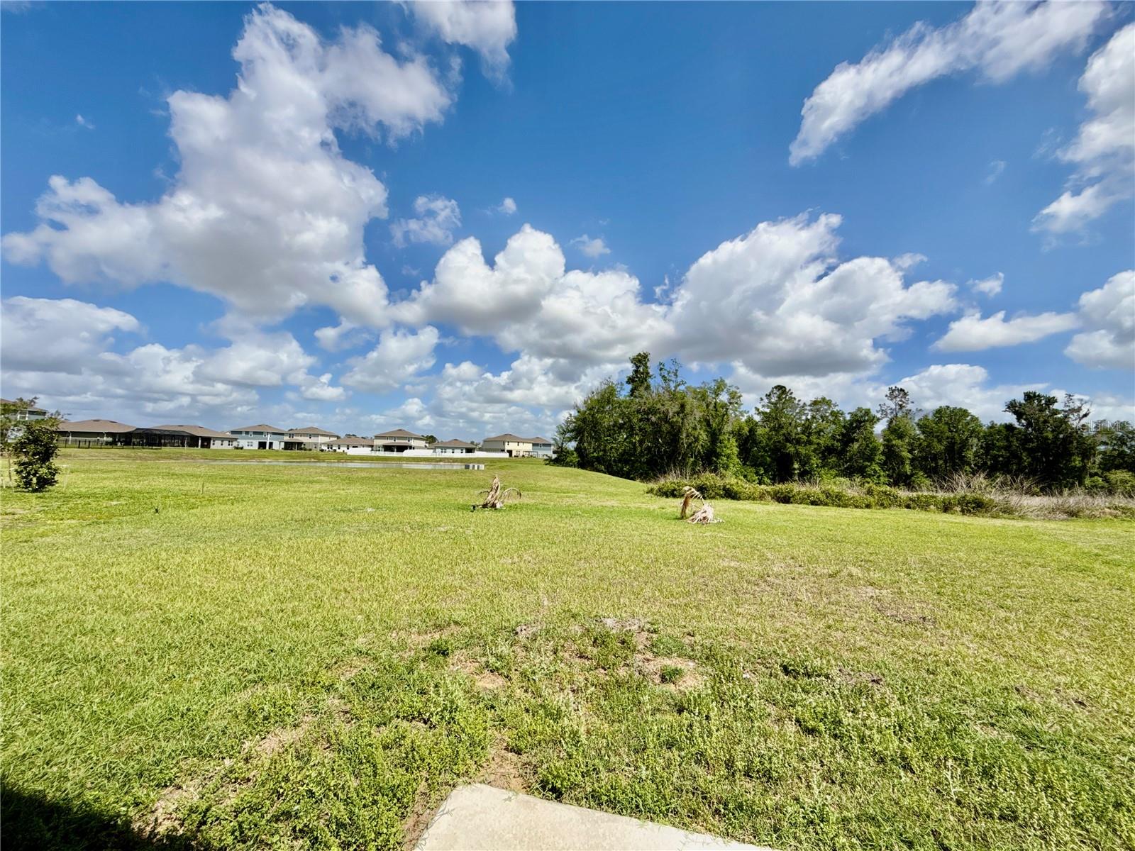 35657 Buttonweed Trl Property Photo 47
