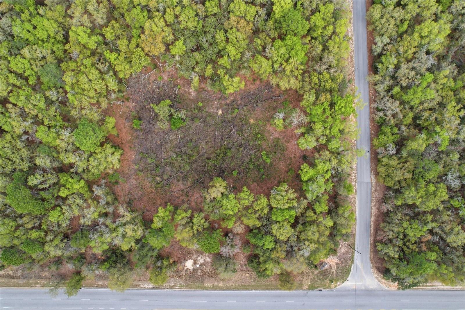 161 W Norvell Bryant Hwy Property Photo 24
