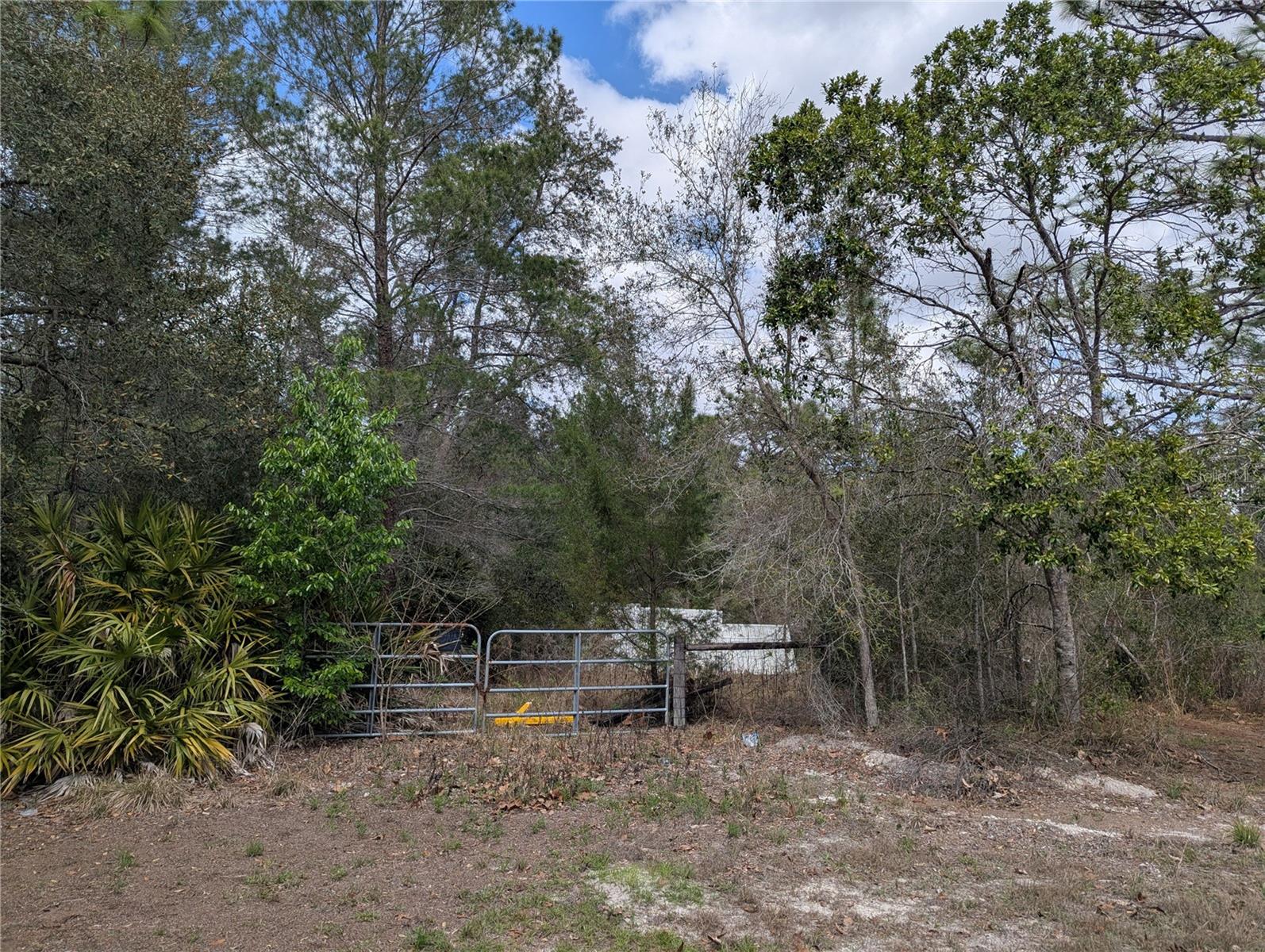 0 Gannet Ave Property Photo 9