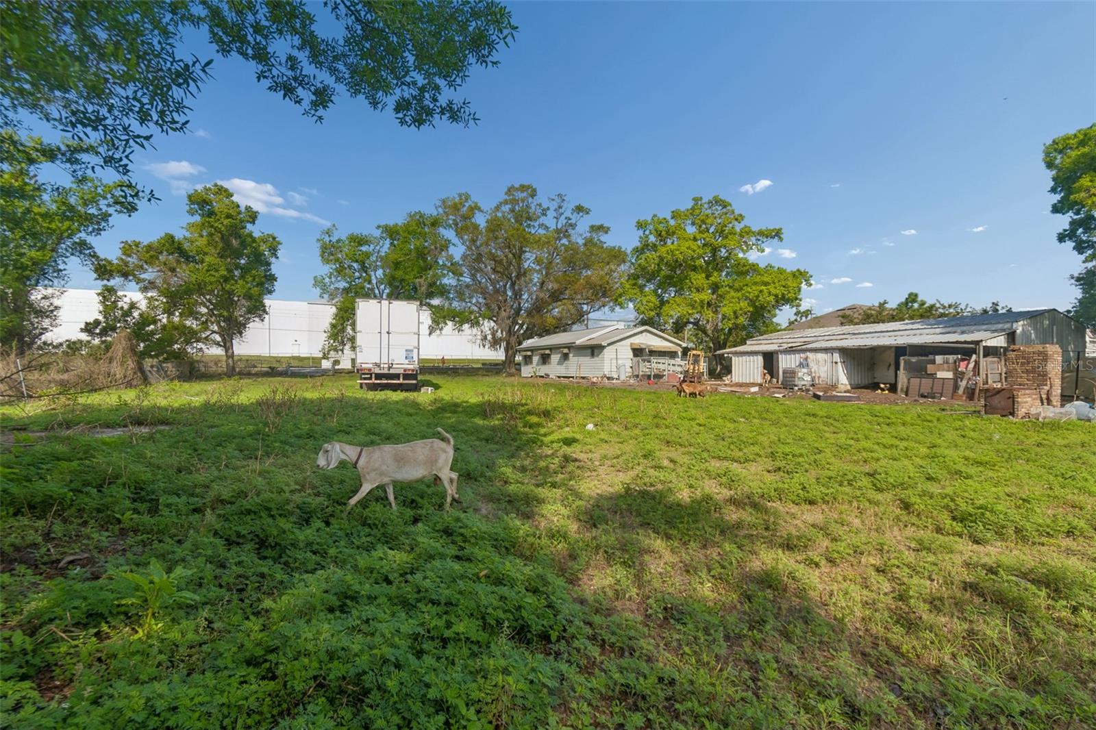 6213 Orient Rd Property Photo 39