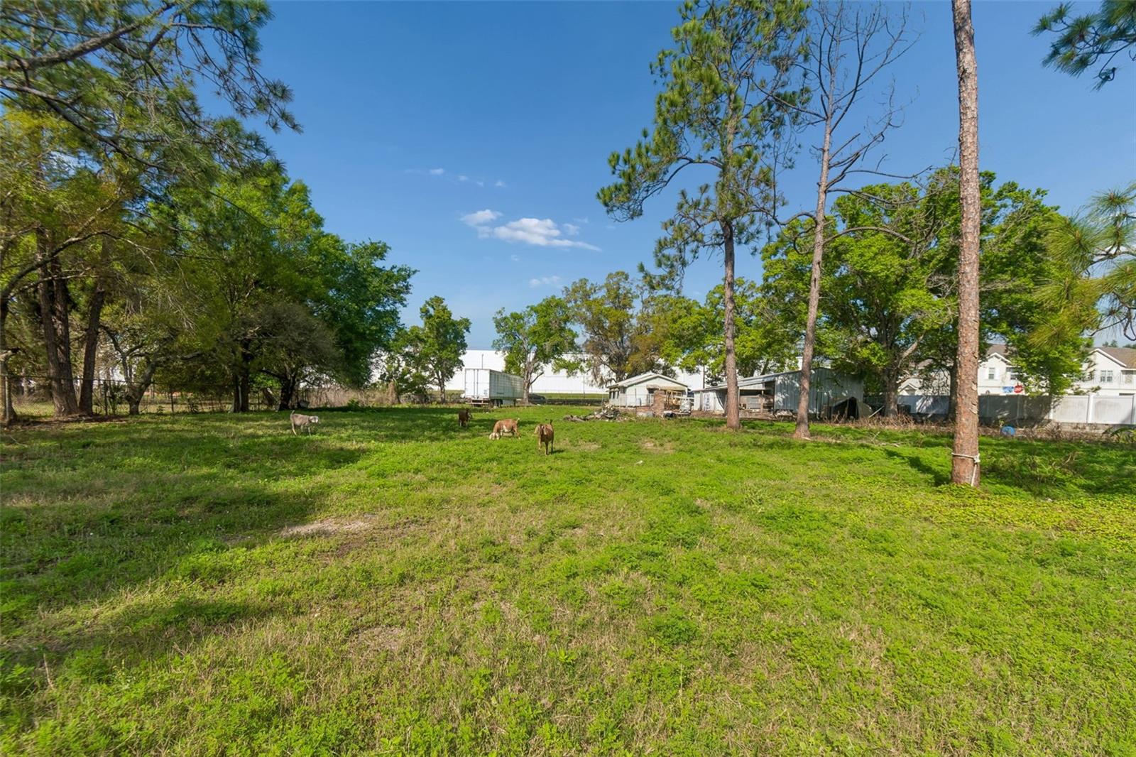 6213 Orient Rd Property Photo 43