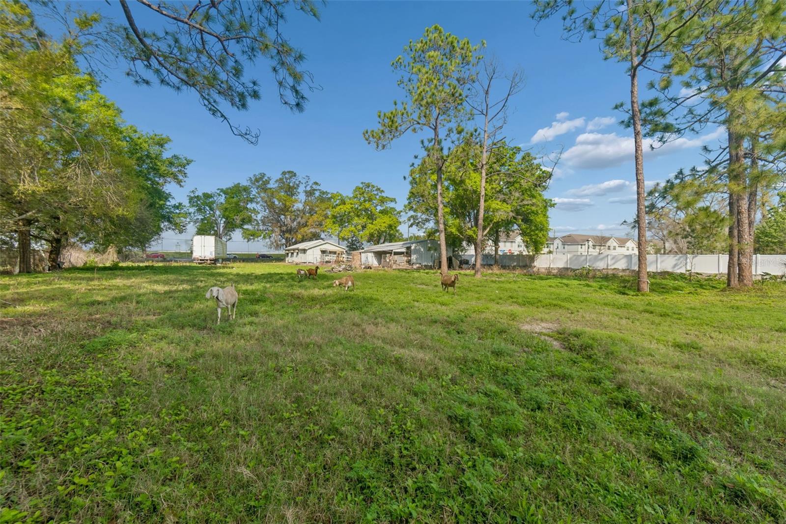 6213 Orient Rd Property Photo 44