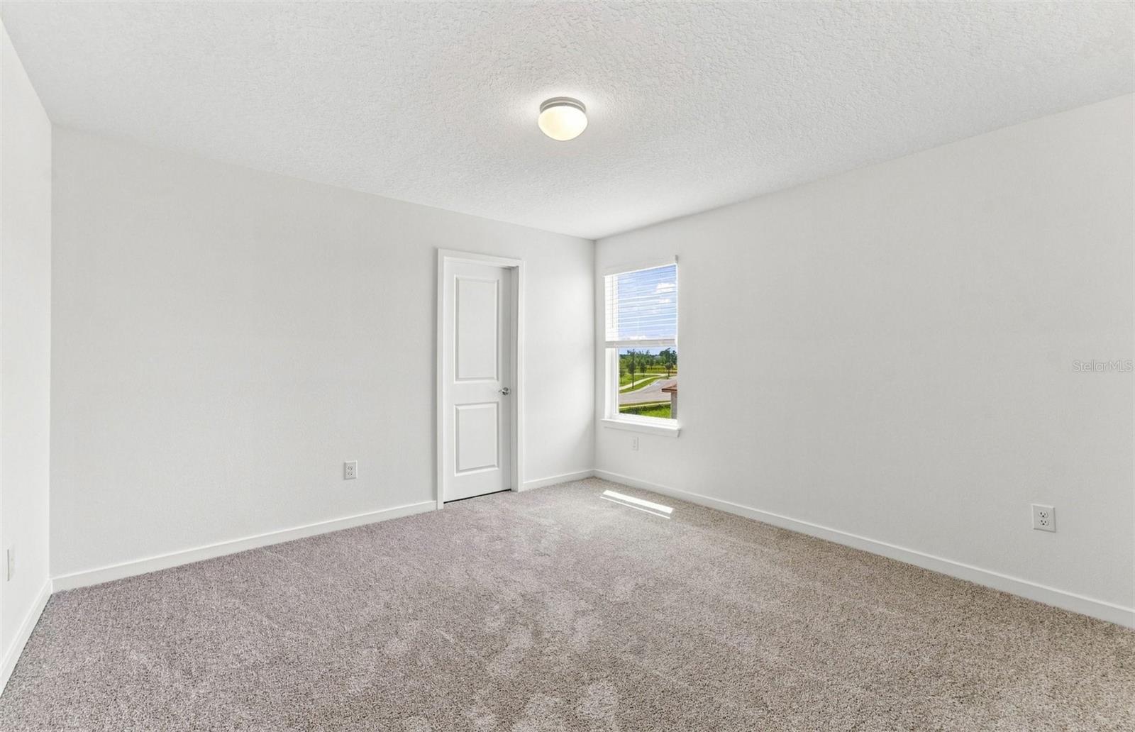 7923 Palm Paradise Pl Property Photo 16