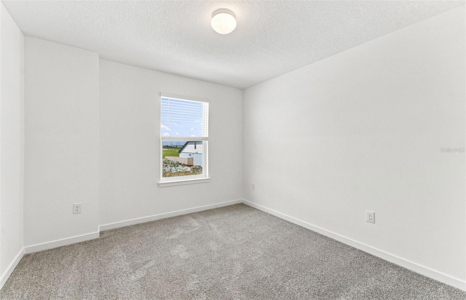 7923 Palm Paradise Pl Property Photo 17