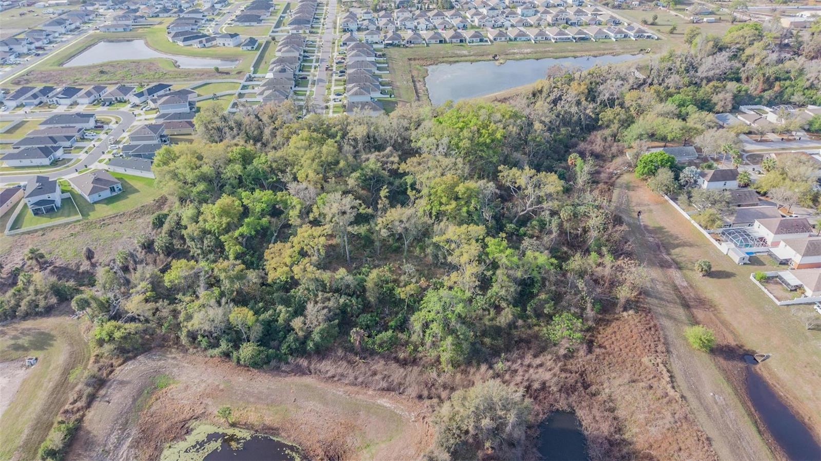 Miracle Mile Property Photo 3