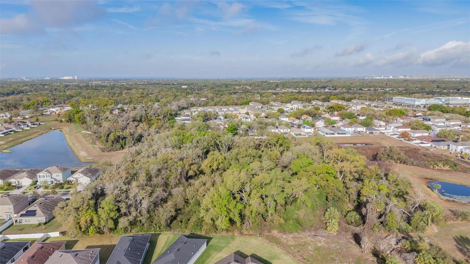 Miracle Mile Property Photo 7