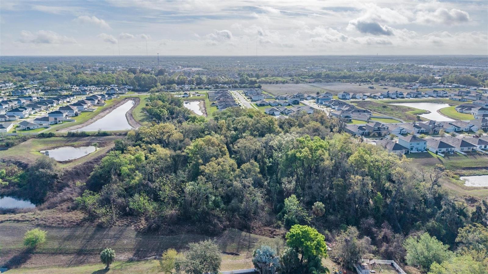 Miracle Mile Property Photo 11