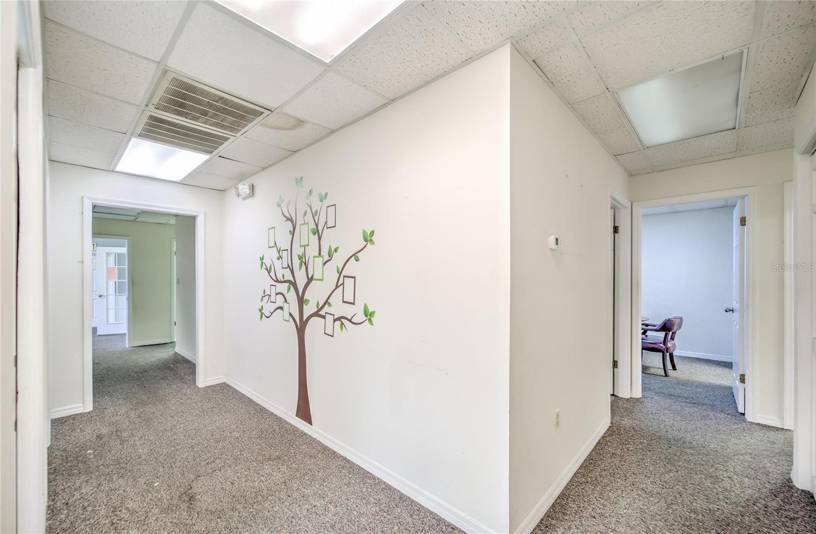 504 E Baker St Property Photo 63