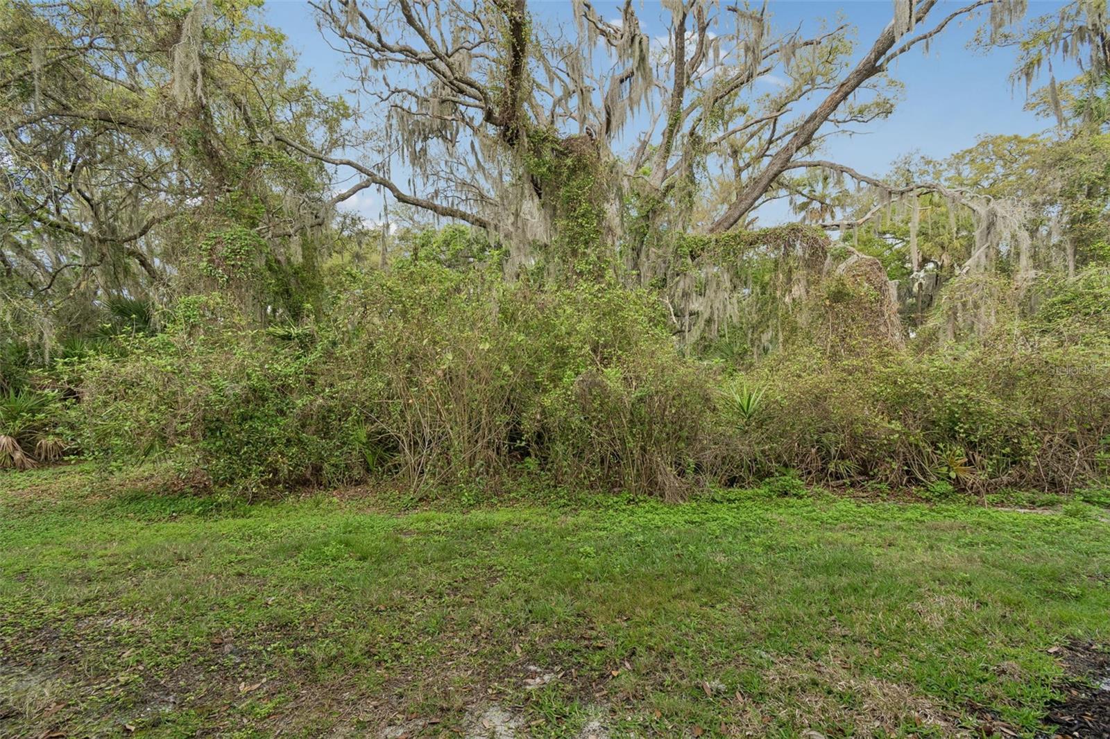 20112 Indian Rosewood Dr Property Photo 62